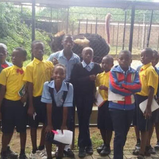 zoo excursion 1